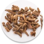 sarsaparilla